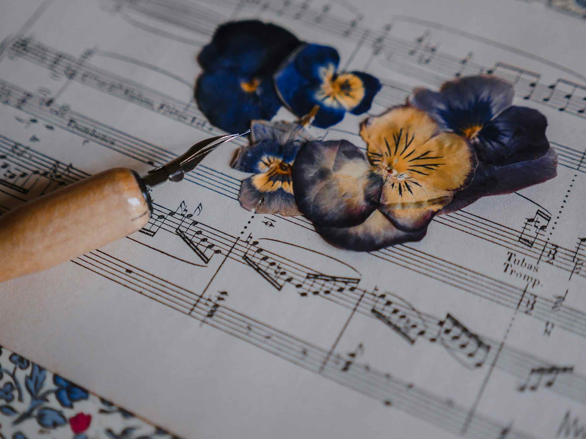 Pressed pansies beside a fountain pen on a page of sheet music